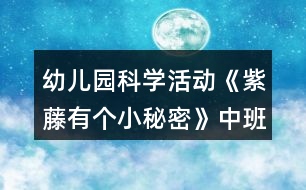 幼兒園科學活動《紫藤有個小秘密》中班教案反思