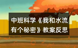 中班科學《我和水流有個秘密》教案反思