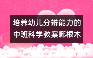 培養(yǎng)幼兒分辨能力的中班科學教案：哪根木幫粗些