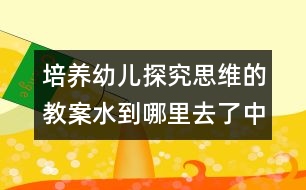 培養(yǎng)幼兒探究思維的教案：水到哪里去了（中班科學(xué)活動）