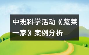 中班科學(xué)活動(dòng)《蔬菜一家》案例分析