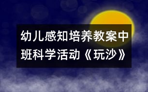 幼兒感知培養(yǎng)教案中班科學(xué)活動：《玩沙》