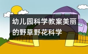 幼兒園科學教案：美麗的野草、野花（科學）