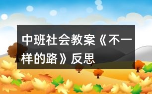 中班社會教案《不一樣的路》反思