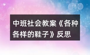 中班社會教案《各種各樣的鞋子》反思