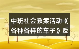 中班社會教案活動《各種各樣的車子》反思