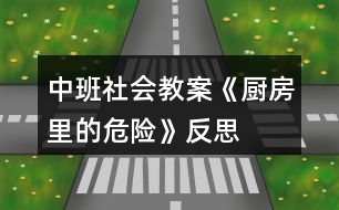 中班社會教案《廚房里的危險(xiǎn)》反思