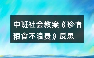 中班社會(huì)教案《珍惜糧食不浪費(fèi)》反思