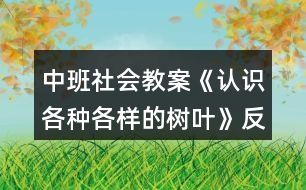 中班社會教案《認識各種各樣的樹葉》反思