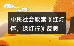 中班社會教案《紅燈停，綠燈行》反思