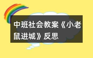 中班社會(huì)教案《小老鼠進(jìn)城》反思