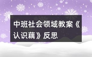 中班社會領(lǐng)域教案《認(rèn)識藕》反思