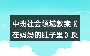 中班社會領域教案《在媽媽的肚子里》反思