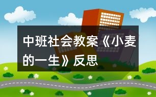 中班社會(huì)教案《小麥的一生》反思