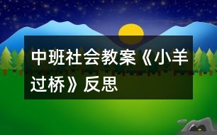 中班社會(huì)教案《小羊過(guò)橋》反思