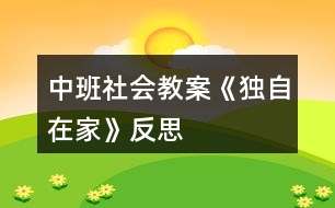 中班社會(huì)教案《獨(dú)自在家》反思