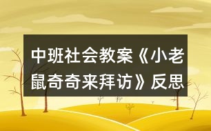 中班社會教案《小老鼠奇奇來拜訪》反思