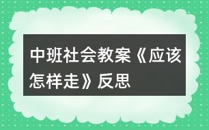 中班社會(huì)教案《應(yīng)該怎樣走》反思