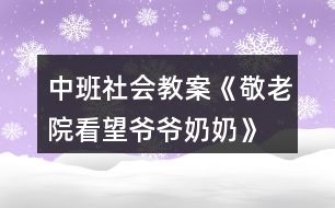 中班社會(huì)教案《敬老院看望爺爺奶奶》