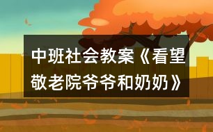 中班社會(huì)教案《看望敬老院爺爺和奶奶》反思