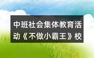 中班社會(huì)集體教育活動(dòng)《不做小霸王》校園欺凌霸教案反思