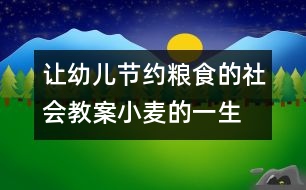 讓幼兒節(jié)約糧食的社會(huì)教案：小麥的一生