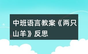 中班語(yǔ)言教案《兩只山羊》反思