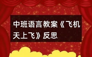 中班語言教案《飛機天上飛》反思