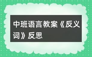 中班語(yǔ)言教案《反義詞》反思