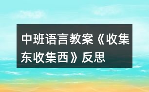 中班語言教案《收集東、收集西》反思