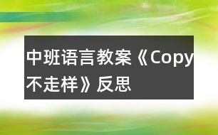 中班語(yǔ)言教案《Copy不走樣》反思