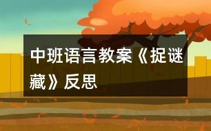 中班語言教案《捉謎藏》反思