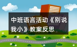 中班語(yǔ)言活動(dòng)《別說(shuō)我小》教案反思