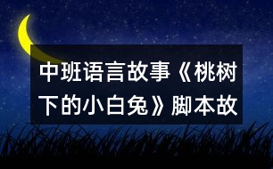 中班語(yǔ)言故事《桃樹(shù)下的小白兔》腳本故事反思