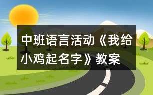 中班語言活動(dòng)《我給小雞起名字》教案