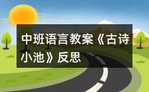 中班語(yǔ)言教案《古詩(shī)小池》反思