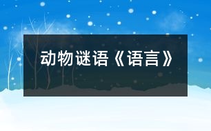 動(dòng)物謎語《語言》