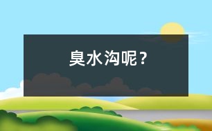 臭水溝呢？