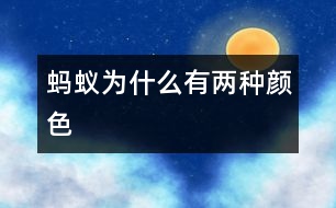 螞蟻為什么有兩種顏色