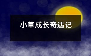 小草成長(zhǎng)奇遇記