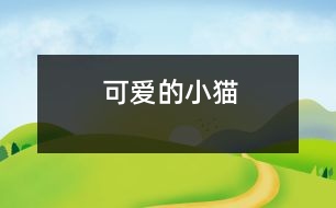 可愛(ài)的小貓