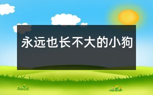 永遠(yuǎn)也長(zhǎng)不大的小狗