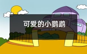 可愛(ài)的小鸚鵡