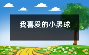 我喜愛(ài)的小黑球