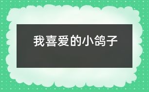 我喜愛的小鴿子