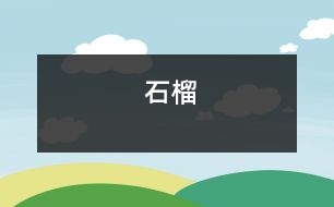 石榴