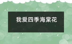 我愛(ài)四季海棠花