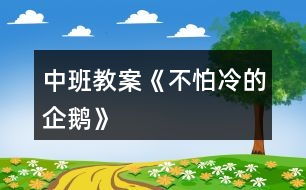 中班教案《不怕冷的企鵝》