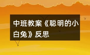 中班教案《聰明的小白兔》反思