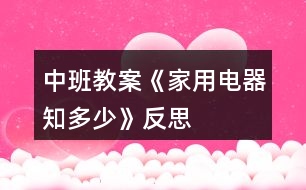 中班教案《家用電器知多少》反思